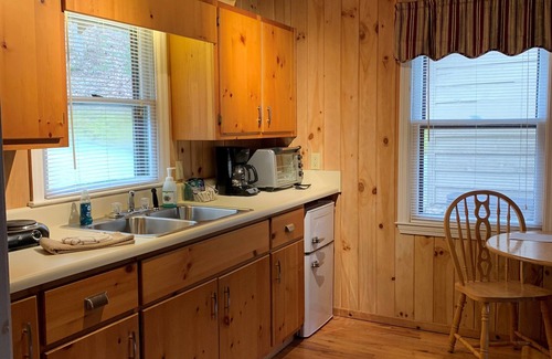 Rabun Gap Cabina | Cabin on a hillside overlooking beautiful Valley Springs Lake pet friendly (dog)