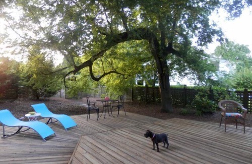 North Carolina Coast Casa | Se aceptan mascotas 2 bd 2 baños casa