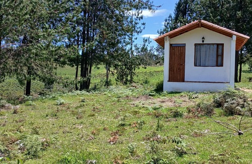 Arcabuco Cabina | cabaña rodeada de la nuraleza