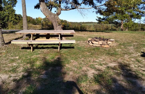 Marshall Cabina | Cabin with a tree house on a working buffalo farm near the Buffalo River.