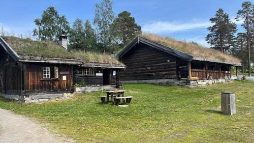 Rauland Casa | Cabin With Mountain View Near Lake Totak
