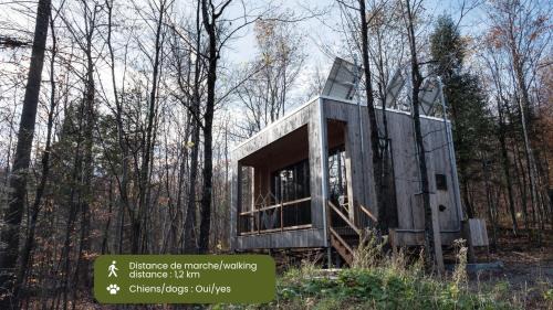 Eastman Casa | Cabin Zoobox 56