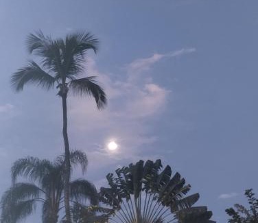 Ilha Grande Casa | Cachanga