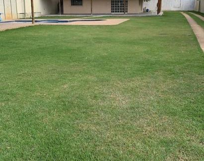 Centro Casa | Cachara Reis