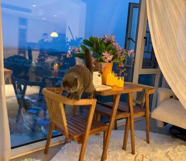Fowlstown Casa | cad house