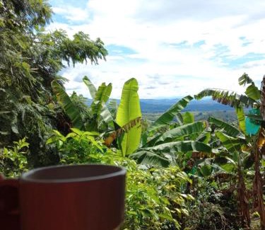 Buenavista Casa | Caficultur -Alojamiento Rural