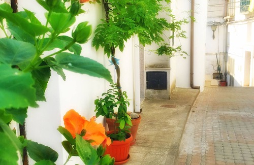Macchia Casa | Calanco Blanco Holiday Home