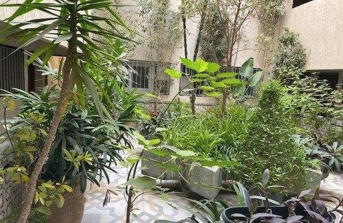 Talborjt Apartamento | Calm and cosy typical home in the hyper center