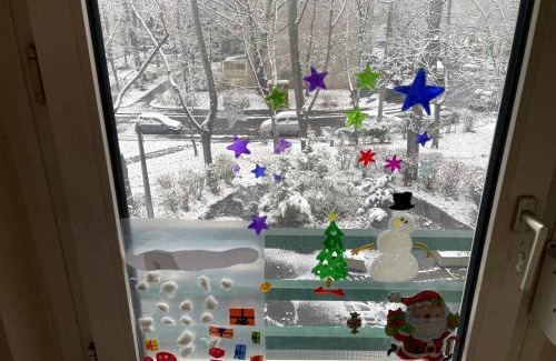 Romaifurdo Apartamento | Calm island near the Danube Apartment - free parking