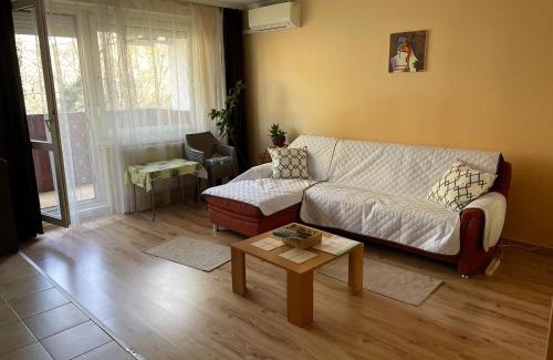 Romaifurdo Apartamento | Calm island near the Danube Apartment - free parking