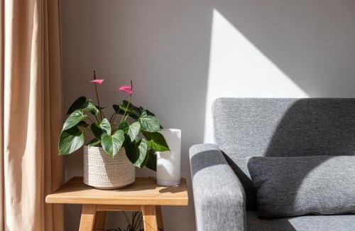 Carihuela Apartamento | Calmahouse