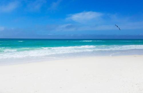 Panama City Beach Casa | Calypso 3-406 - Paradise by the Pier