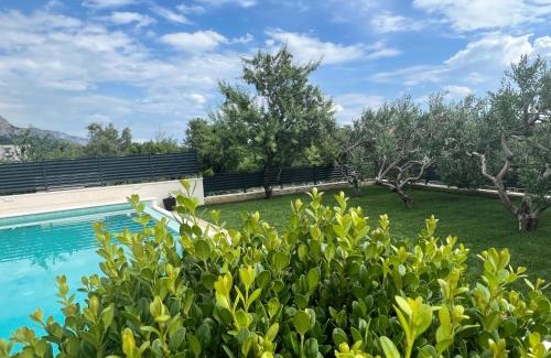 Zelenka Villa | Camadra Villa