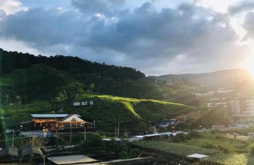 Kampung Raja Apartamento | Cameron Highlands Modern7-Tea Plantation View-Premium Hotel Bed