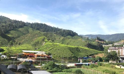 Kampung Raja Apartamento | Cameron Highlands Modern7-Tea Plantation View-Premium Hotel Bed