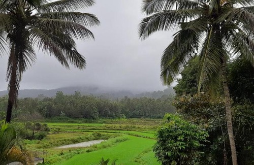 Madikeri Complejo | Camp coorg