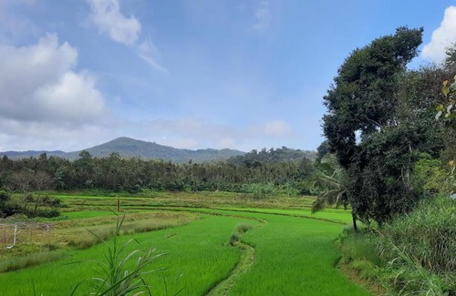 Madikeri Complejo | Camp coorg
