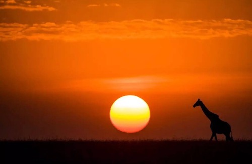 Oloitoktok Alquiler De RV | Camp David Amboseli