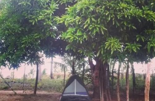 Itacimirim Otro | Camp do Riso