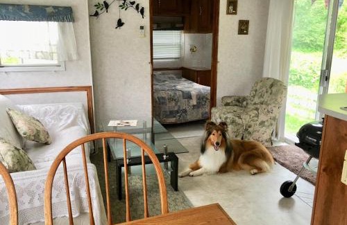 Hokuto Otro | Camp inn Kiyosato GRANDEUR - Vacation STAY 42079v