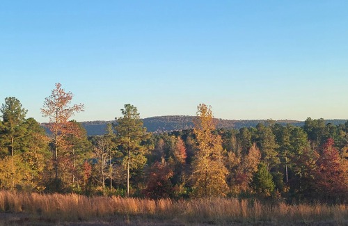 Kirby Alquiler De RV | Camp less than a mile from Kirby Landing, Cowhide Cove Mountain Views