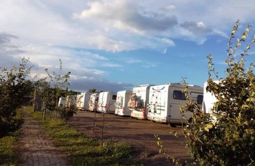 Novi Sad Otro | Camp Salaš Farma 47 Čenej