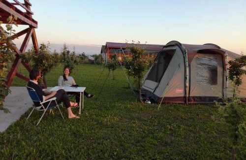 Novi Sad Otro | Camp Salaš Farma 47 Čenej