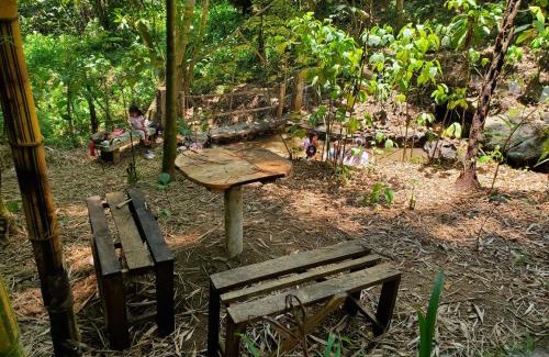 Cuetzalan del Progreso Otro | Campamento equipado de bosque