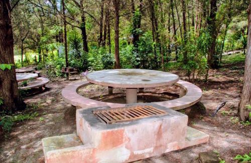 Tonatico Otro | Campamento y parque Niltse
