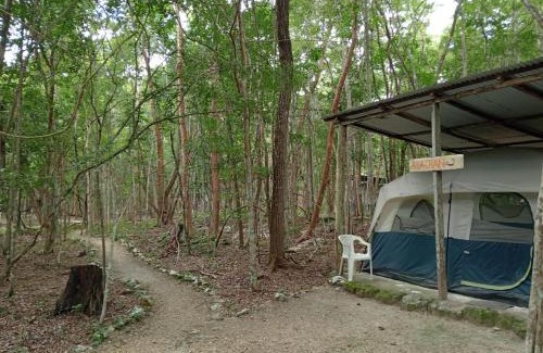 Calakmul Otro | Campamento Yaax Che en Calakmul