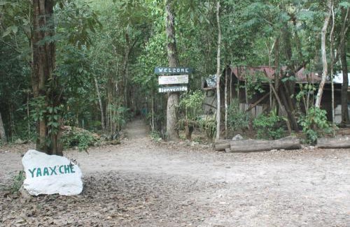 Calakmul Otro | Campamento Yaax Che en Calakmul