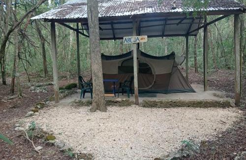 Calakmul Otro | Campamento Yaax Che en Calakmul