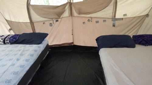 Calakmul Otro | Campamento Yaax Che en Calakmul