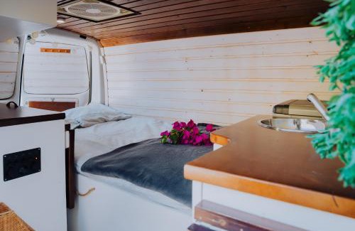 San Sebastian de la Gomera Otro | Camper Majona