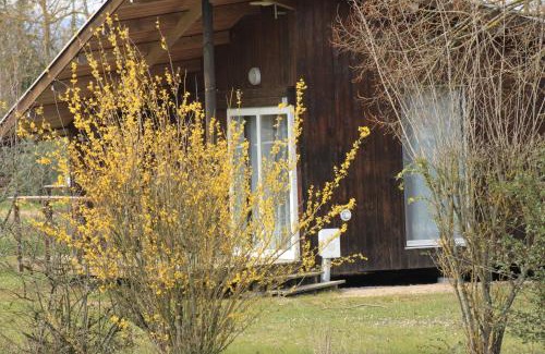 Saint-Didier-sur-Chalaronne Otro | CAMPING DE LA CHALARONNE
