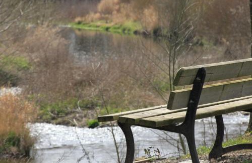 Saint-Didier-sur-Chalaronne Otro | CAMPING DE LA CHALARONNE