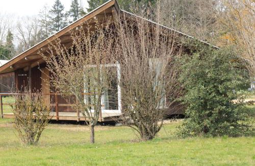 Saint-Didier-sur-Chalaronne Otro | CAMPING DE LA CHALARONNE