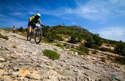 Sainte-Croix-du-Verdon Apartamento | CAMPING 3* ! PROGHE DES GORGES DU VERDON ET LAC DE STE CROIX 04500 ! TOUT EQUIPE ! CHAMPS DE LAVANDES ! CALME ! NBRES ACTIVITES ! RANDONNEES ! NAUTISME !