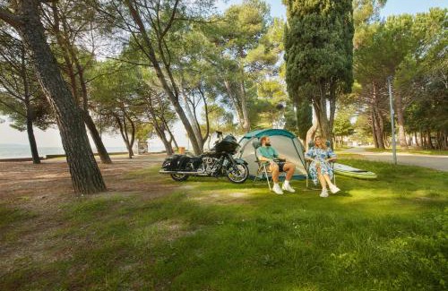 Ankaran Otro | Camping Adria Ankaran - Pitches