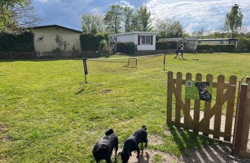 Appelscha Chalet De Esquí | Camping Alkenhaer Appelscha Chalet 111