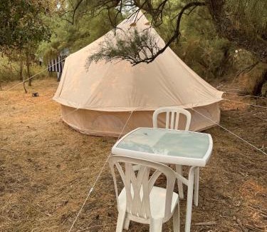 Esnandes Otro | CAMPING ANIMAL KING