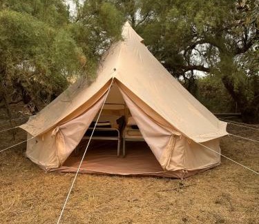 Esnandes Otro | CAMPING ANIMAL KING