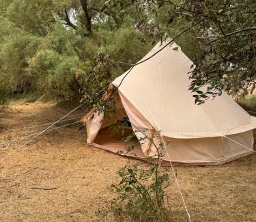 Esnandes Otro | CAMPING ANIMAL KING
