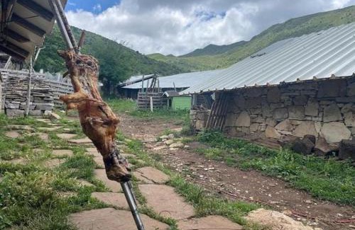 Albania Otro | Camping Cajupi