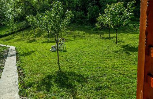 Vata de Jos Otro | Camping Ciungani
