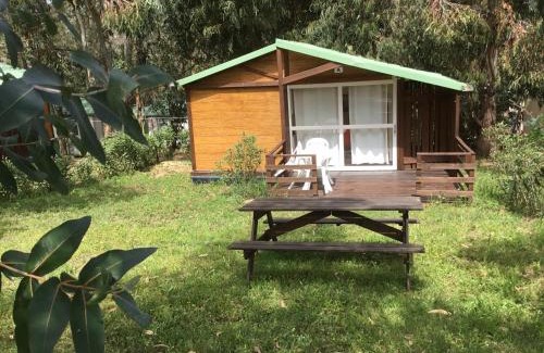 Appietto Otro | Camping du Soleil