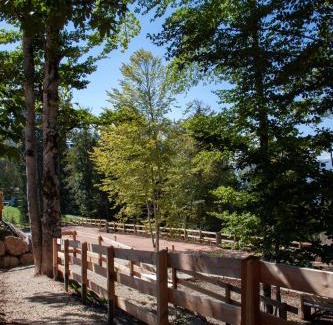 Folgaria Otro | Camping Essenza Alpina