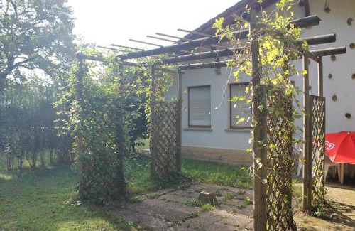 Etxarri-Aranatz Otro | CAMPING ETXARRI