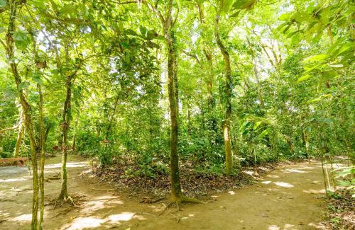 Londres Otro | Camping Finca Planeta Sano