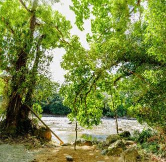 Londres Otro | Camping Finca Planeta Sano